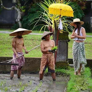 Villa Umae, Ubud (Bali)