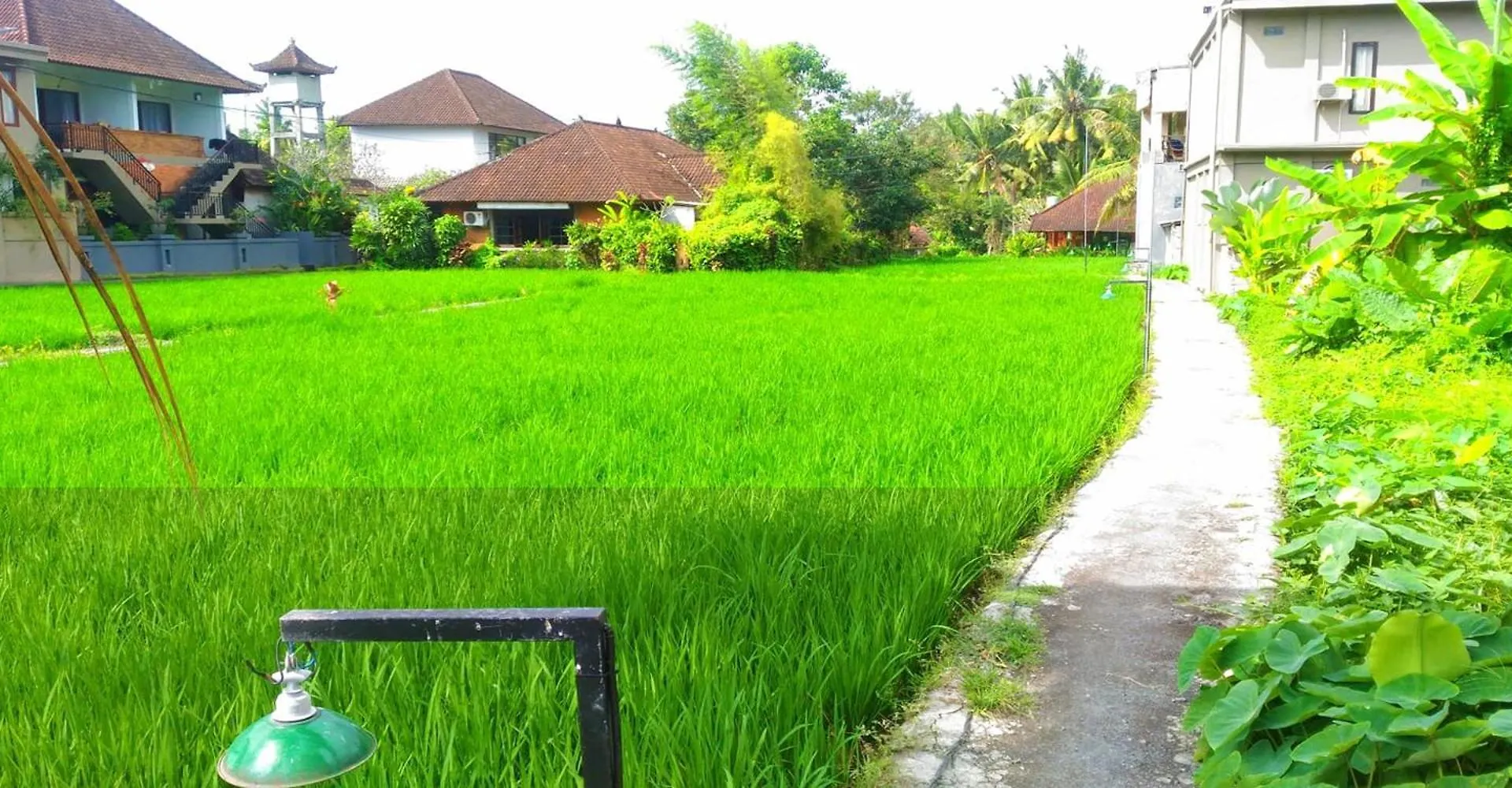 Keladi House Ubud