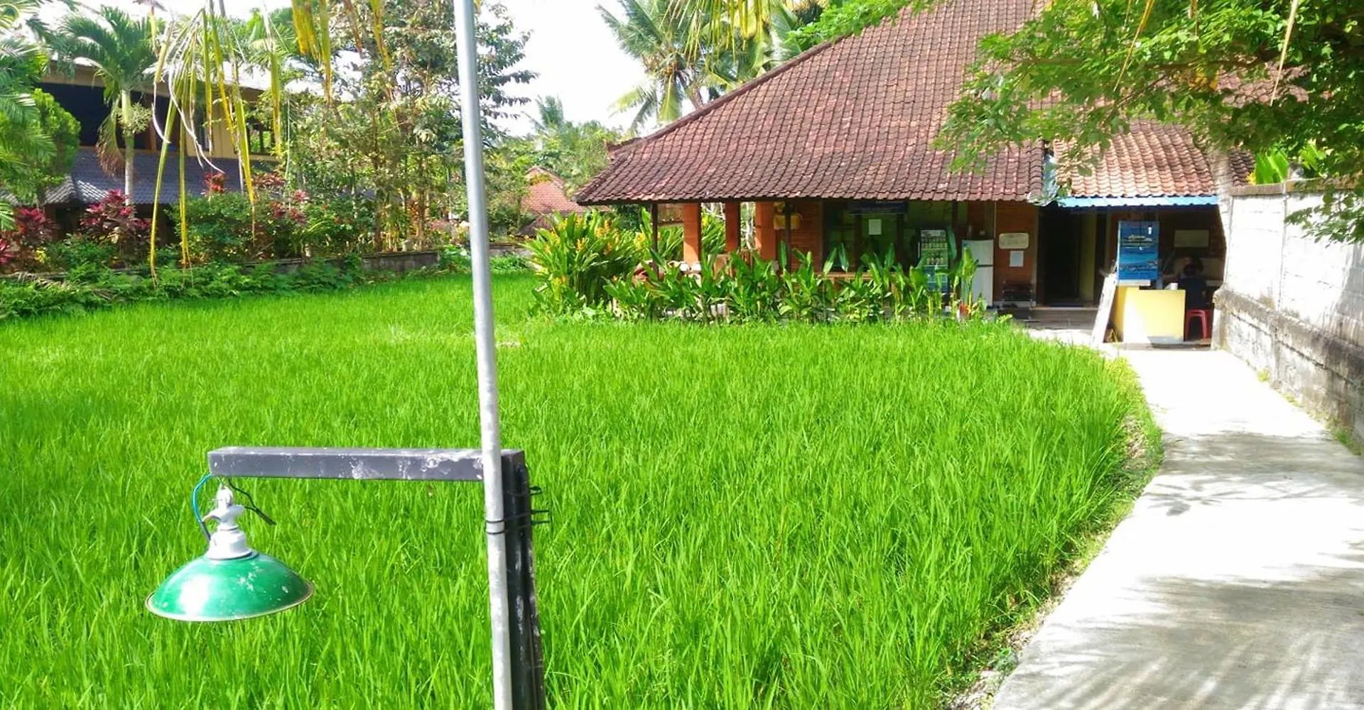 Ostello Keladi House Ubud